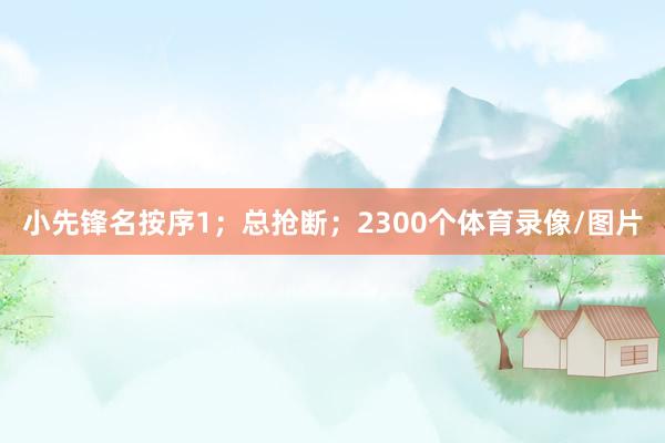 小先锋名按序1；总抢断；2300个体育录像/图片