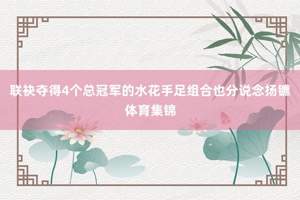 联袂夺得4个总冠军的水花手足组合也分说念扬镳体育集锦