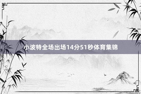 小波特全场出场14分51秒体育集锦