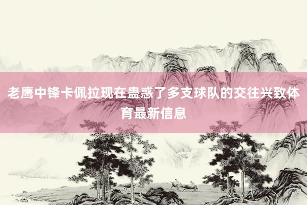 老鹰中锋卡佩拉现在蛊惑了多支球队的交往兴致体育最新信息