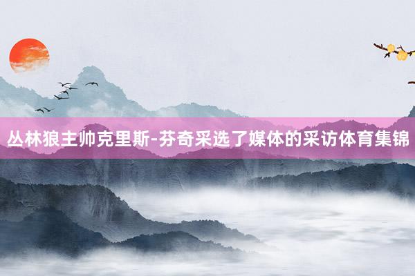 丛林狼主帅克里斯-芬奇采选了媒体的采访体育集锦
