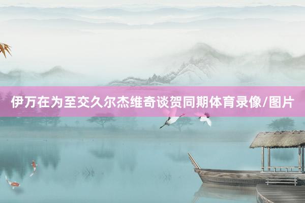 伊万在为至交久尔杰维奇谈贺同期体育录像/图片