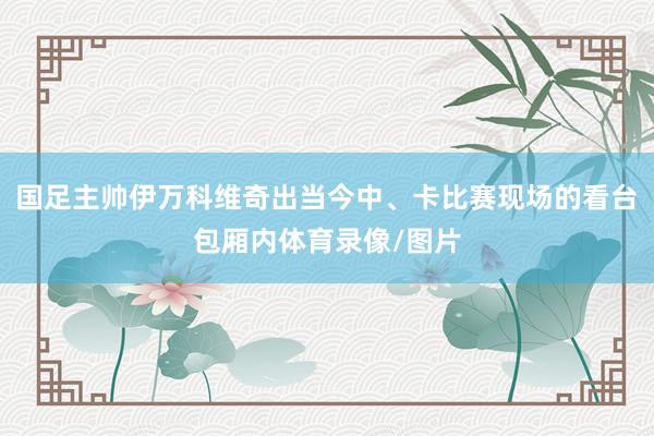 国足主帅伊万科维奇出当今中、卡比赛现场的看台包厢内体育录像/图片