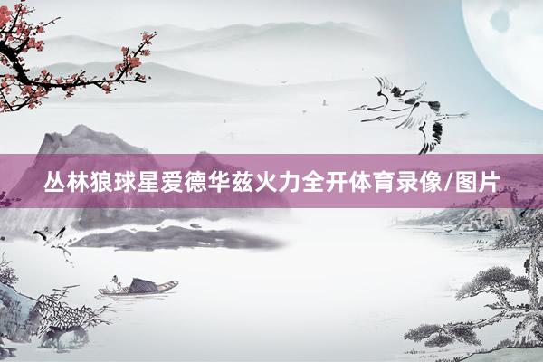 丛林狼球星爱德华兹火力全开体育录像/图片