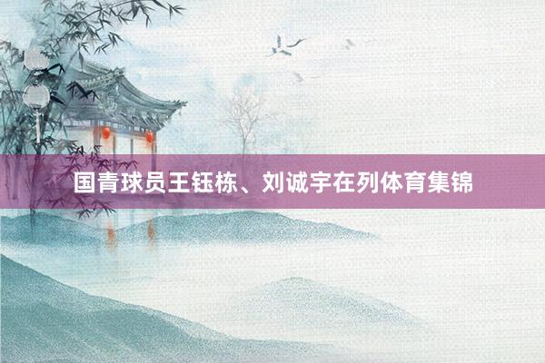 国青球员王钰栋、刘诚宇在列体育集锦