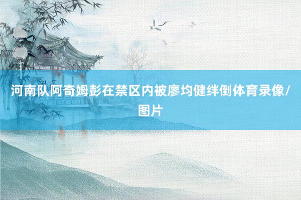 河南队阿奇姆彭在禁区内被廖均健绊倒体育录像/图片