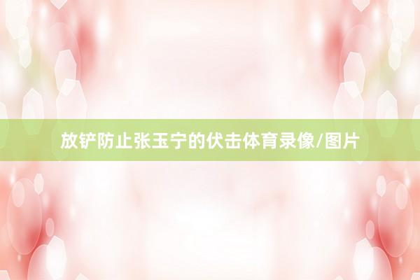 放铲防止张玉宁的伏击体育录像/图片