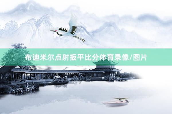 布迪米尔点射扳平比分体育录像/图片