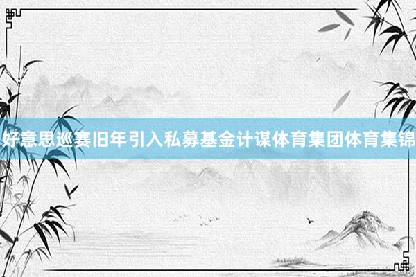好意思巡赛旧年引入私募基金计谋体育集团体育集锦