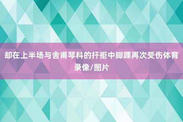 却在上半场与舍甫琴科的扞拒中脚踝再次受伤体育录像/图片