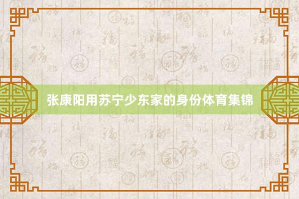 张康阳用苏宁少东家的身份体育集锦