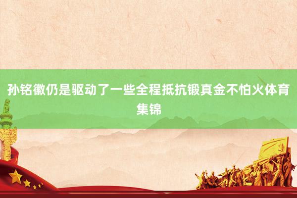 孙铭徽仍是驱动了一些全程抵抗锻真金不怕火体育集锦