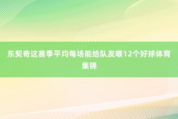 东契奇这赛季平均每场能给队友喂12个好球体育集锦