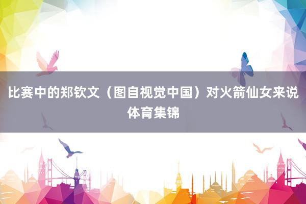 比赛中的郑钦文(图自视觉中国)对火箭仙女来说体育集锦