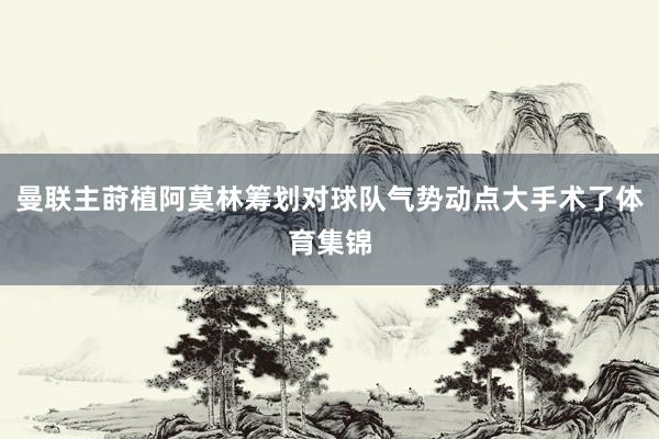 曼联主莳植阿莫林筹划对球队气势动点大手术了体育集锦