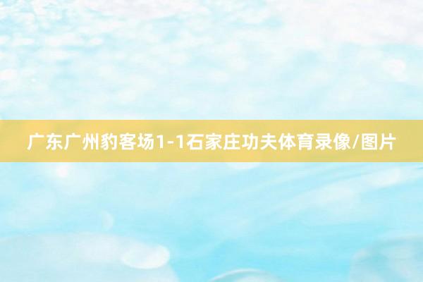 广东广州豹客场1-1石家庄功夫体育录像/图片