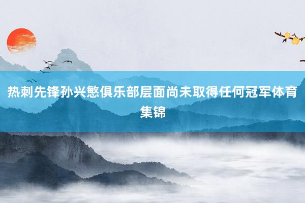 热刺先锋孙兴慜俱乐部层面尚未取得任何冠军体育集锦