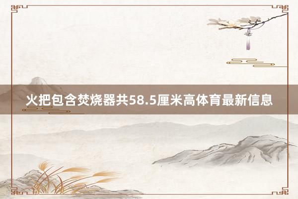 火把包含焚烧器共58.5厘米高体育最新信息