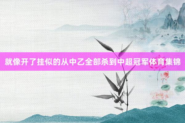 就像开了挂似的从中乙全部杀到中超冠军体育集锦