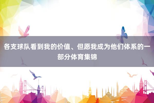 各支球队看到我的价值、但愿我成为他们体系的一部分体育集锦