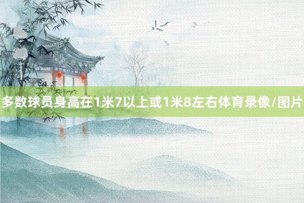 多数球员身高在1米7以上或1米8左右体育录像/图片