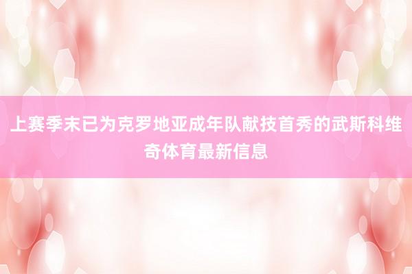 上赛季末已为克罗地亚成年队献技首秀的武斯科维奇体育最新信息