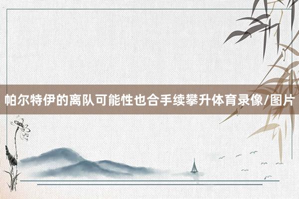 帕尔特伊的离队可能性也合手续攀升体育录像/图片