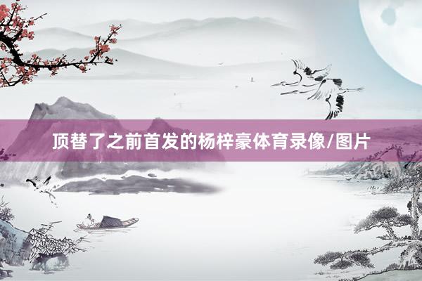 顶替了之前首发的杨梓豪体育录像/图片