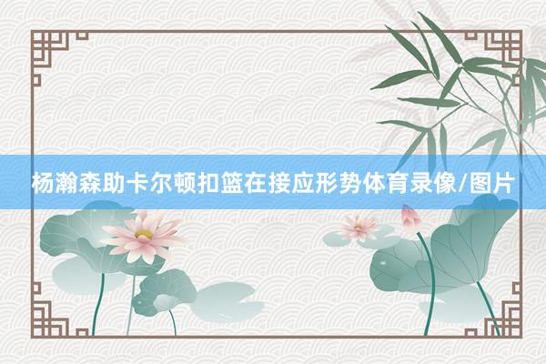 杨瀚森助卡尔顿扣篮在接应形势体育录像/图片