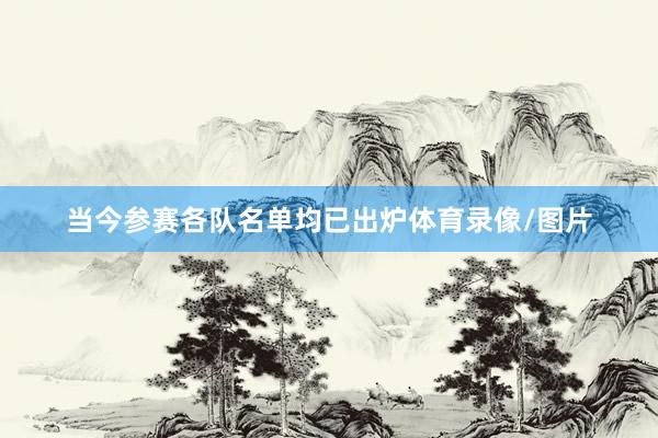 当今参赛各队名单均已出炉体育录像/图片
