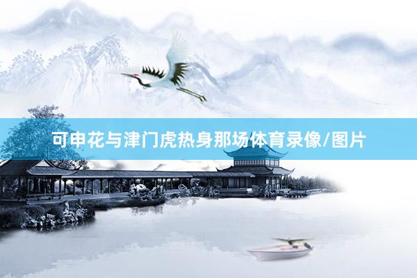 可申花与津门虎热身那场体育录像/图片