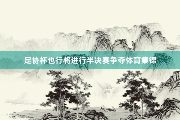 足协杯也行将进行半决赛争夺体育集锦