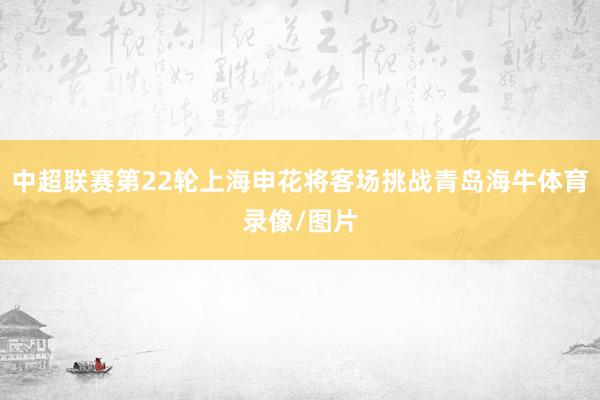 中超联赛第22轮上海申花将客场挑战青岛海牛体育录像/图片