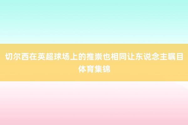切尔西在英超球场上的推崇也相同让东说念主瞩目体育集锦
