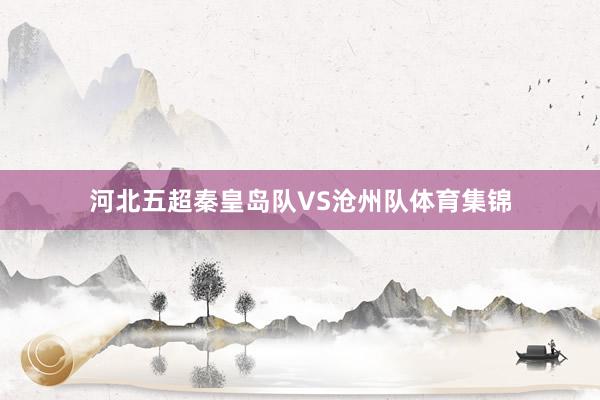 河北五超秦皇岛队VS沧州队体育集锦