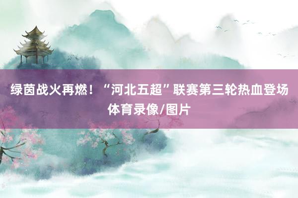 绿茵战火再燃！“河北五超”联赛第三轮热血登场体育录像/图片