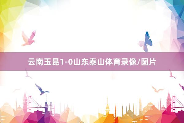 云南玉昆1-0山东泰山体育录像/图片