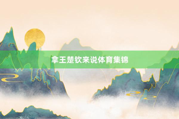 拿王楚钦来说体育集锦