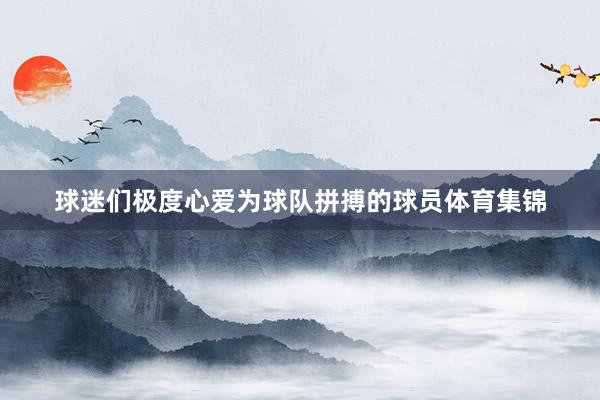球迷们极度心爱为球队拼搏的球员体育集锦