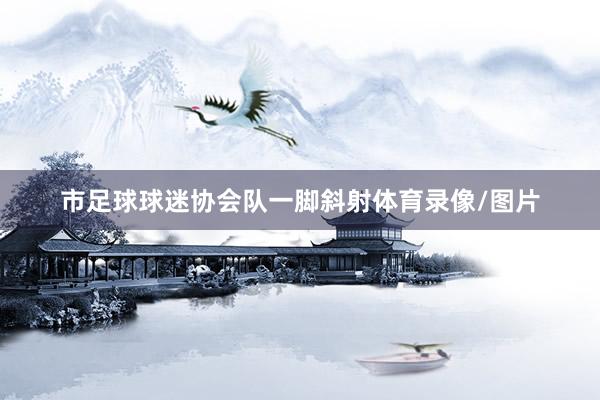市足球球迷协会队一脚斜射体育录像/图片