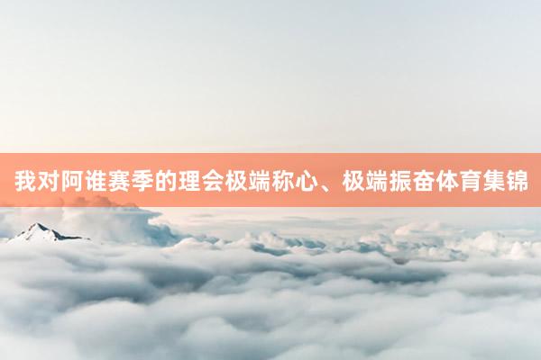 我对阿谁赛季的理会极端称心、极端振奋体育集锦