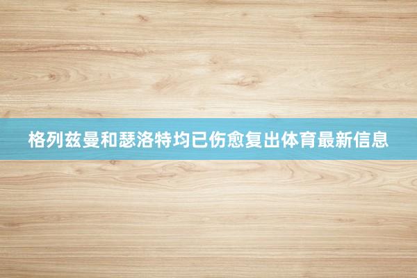 格列兹曼和瑟洛特均已伤愈复出体育最新信息
