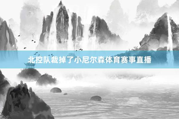 北控队裁掉了小尼尔森体育赛事直播