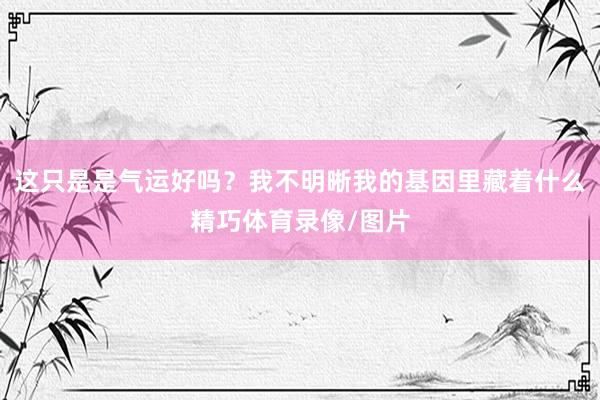 这只是是气运好吗？我不明晰我的基因里藏着什么精巧体育录像/图片