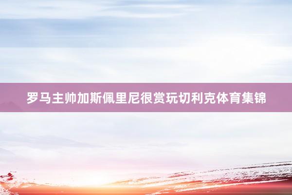 罗马主帅加斯佩里尼很赏玩切利克体育集锦