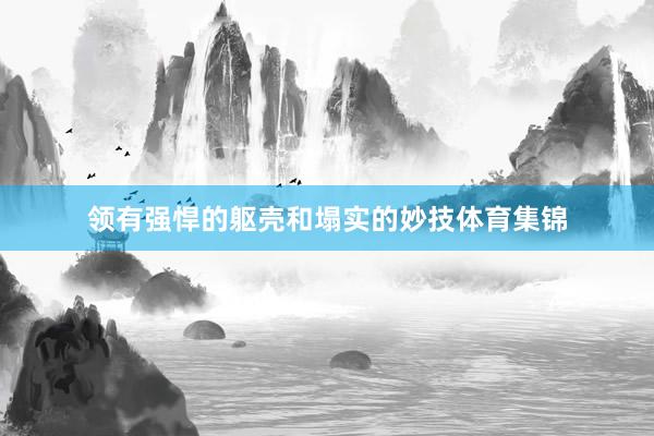 领有强悍的躯壳和塌实的妙技体育集锦