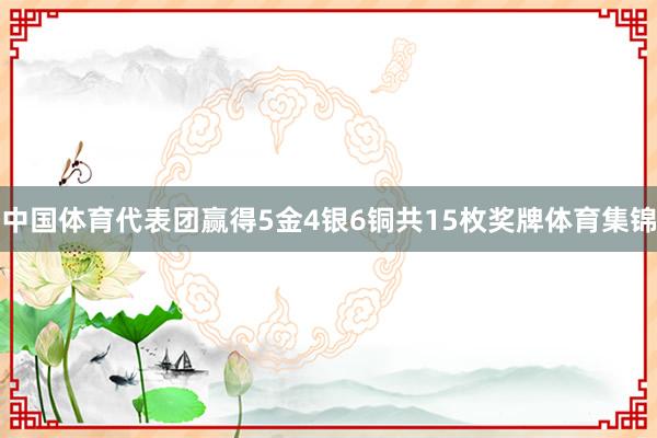 中国体育代表团赢得5金4银6铜共15枚奖牌体育集锦
