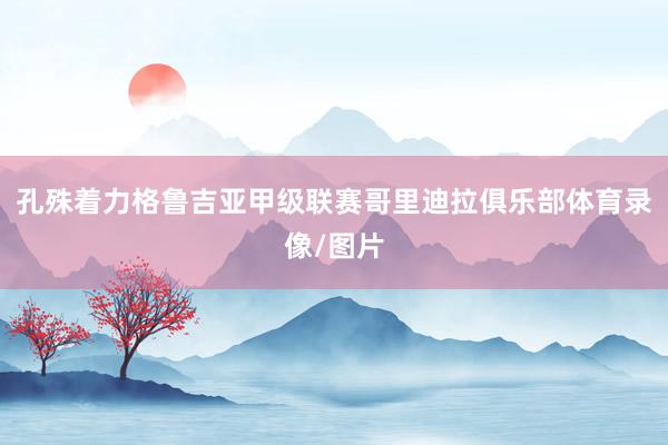 孔殊着力格鲁吉亚甲级联赛哥里迪拉俱乐部体育录像/图片