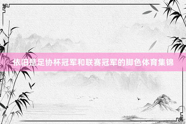 依旧是足协杯冠军和联赛冠军的脚色体育集锦