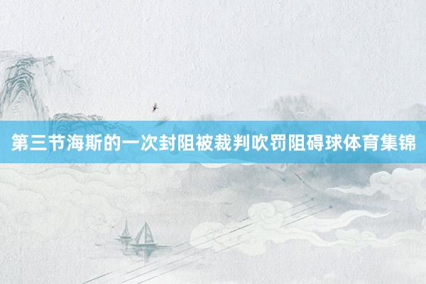 第三节海斯的一次封阻被裁判吹罚阻碍球体育集锦